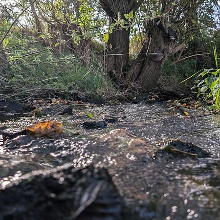 Ferienwohnungen Satkula Crostwitz Kültér fotó